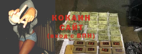 стафф Алзамай