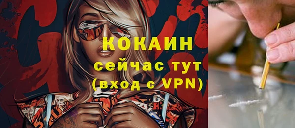 стафф Алексин