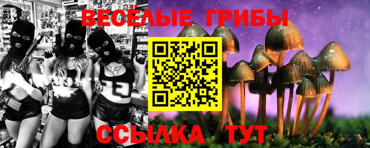 Галлюциногенные грибы Cubensis  Вход с VPN  Алушта 