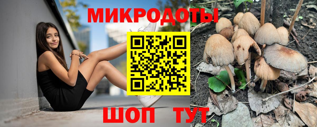 Псилоцибиновые грибы GOLDEN TEACHER Алушта